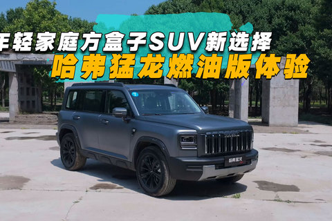 哈弗猛龍燃油版，年輕家庭方盒子SUV新選擇