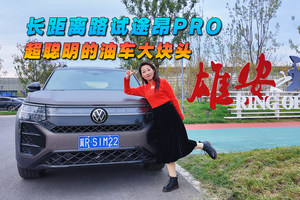 长距离路试途昂PRO，超聪明的油车大块头
