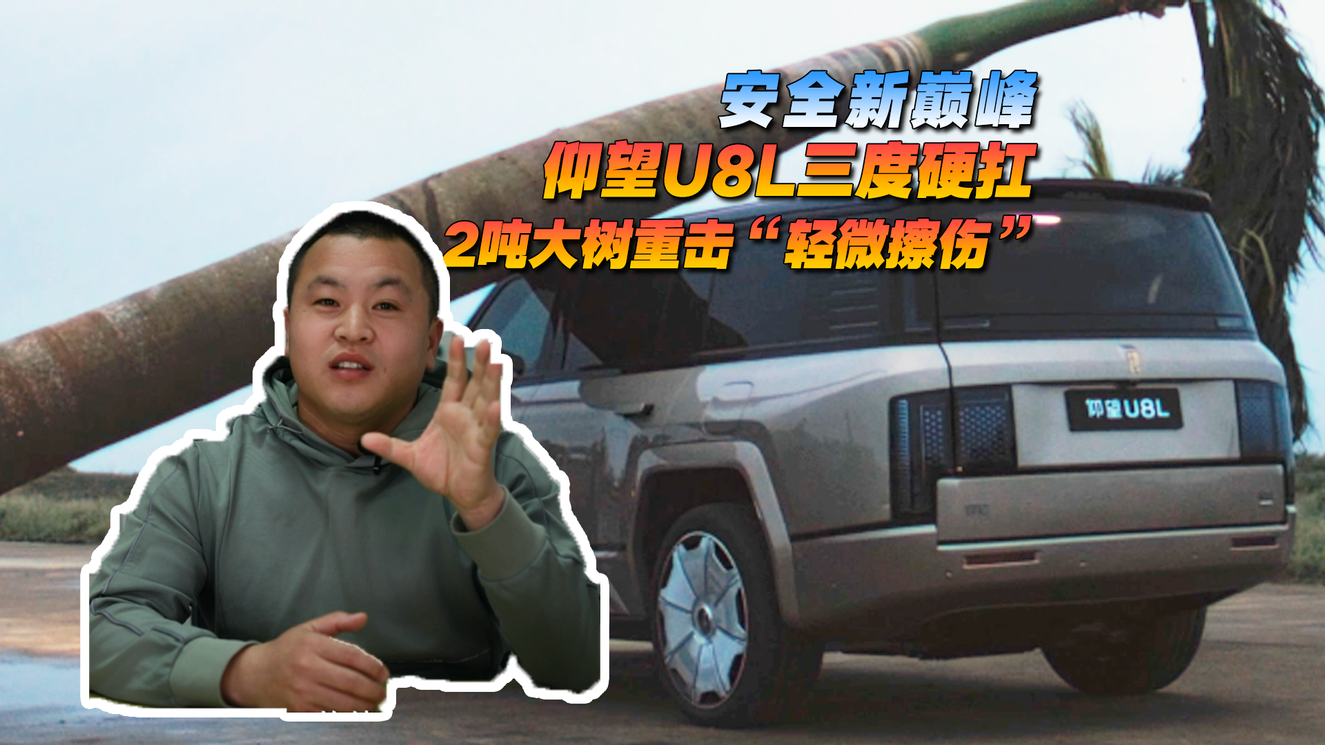 安全新巔峰，仰望U8L三度硬抗兩噸大樹重擊“輕微擦傷”