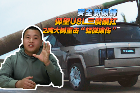 安全新巔峰，仰望U8L三度硬抗兩噸大樹重擊“輕微擦傷”