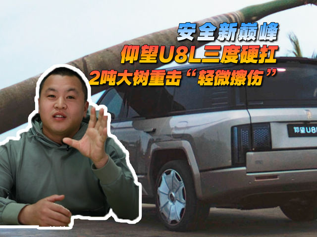 安全新巔峰，仰望U8L三度硬抗兩噸大樹重擊“輕微擦傷”