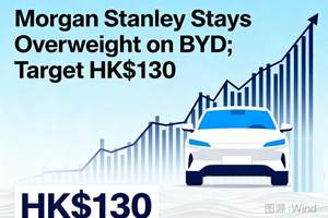 紛紛調(diào)高評(píng)級(jí)，比亞迪成為國(guó)際資本眼中的“香餑餑”