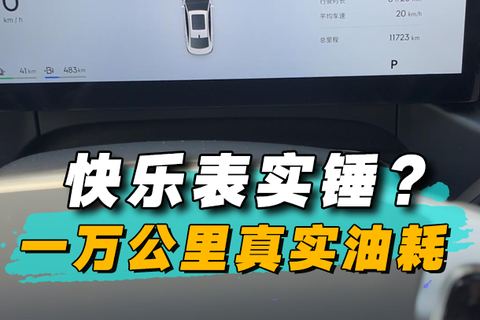快乐表实锤？一万公里真实油耗