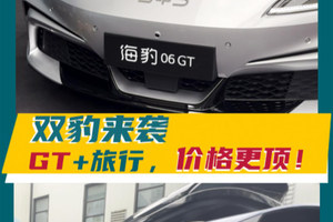 双豹来袭，GT+旅行，价格更顶！