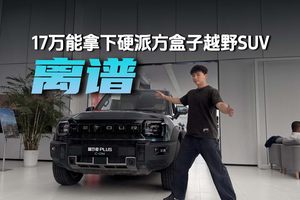 离谱，17万能拿下硬派方盒子越野SUV