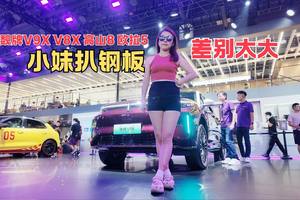 小妹扒钢板 魏牌V9X V8X 高山8 欧拉5差别太大