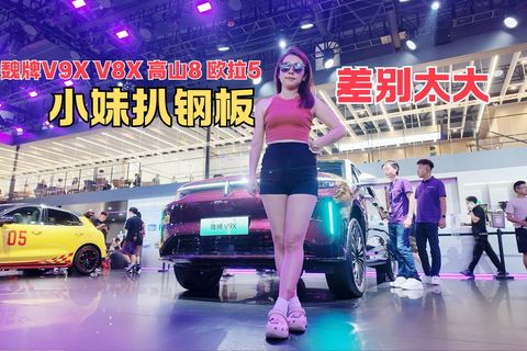 小妹扒钢板 魏牌V9X V8X 高山8 欧拉5差别太大